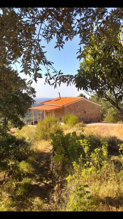 Quinta Da Barroquinha Guest House Vale de Prazeres Ngoại thất bức ảnh